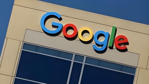 見(jiàn)證谷歌google流量暴漲：新手必讀優(yōu)化方法