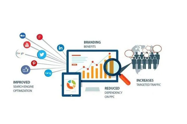獨立站沒流量怎么辦？付費+免費方法大放送！