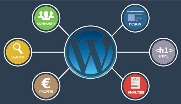 谷歌SEO必備的二十個工具，助力你快速網(wǎng)站排名！
