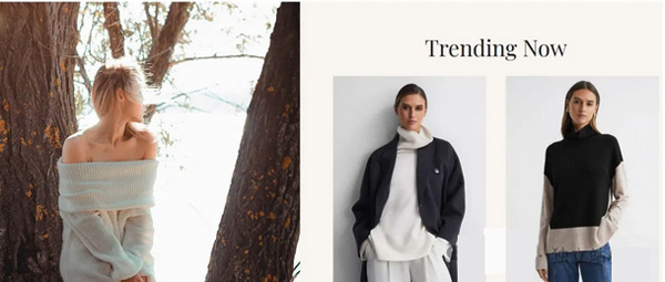 獨(dú)立站好做還是亞馬遜好做？