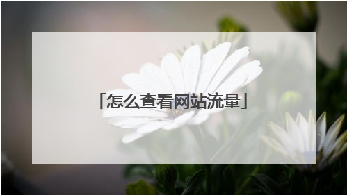 網(wǎng)站日均流量怎么看？網(wǎng)站日均訪問量查詢？